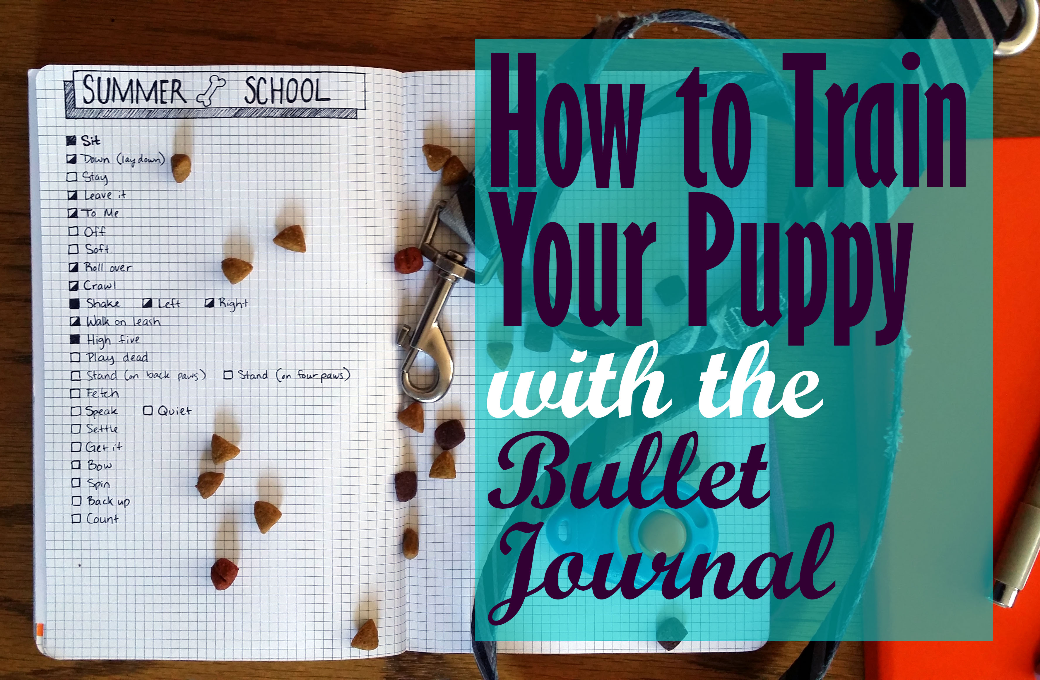 How to Train Your Puppy With the Bullet Journal