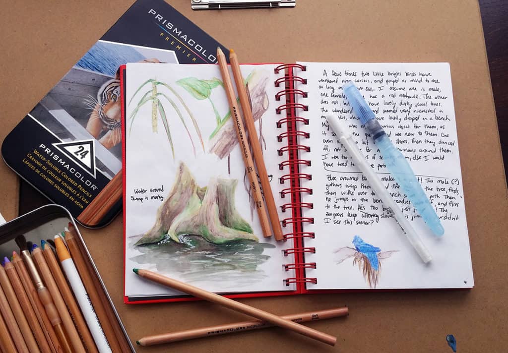 The Best Watercolor Supplies for Beginners - What You Need to Start