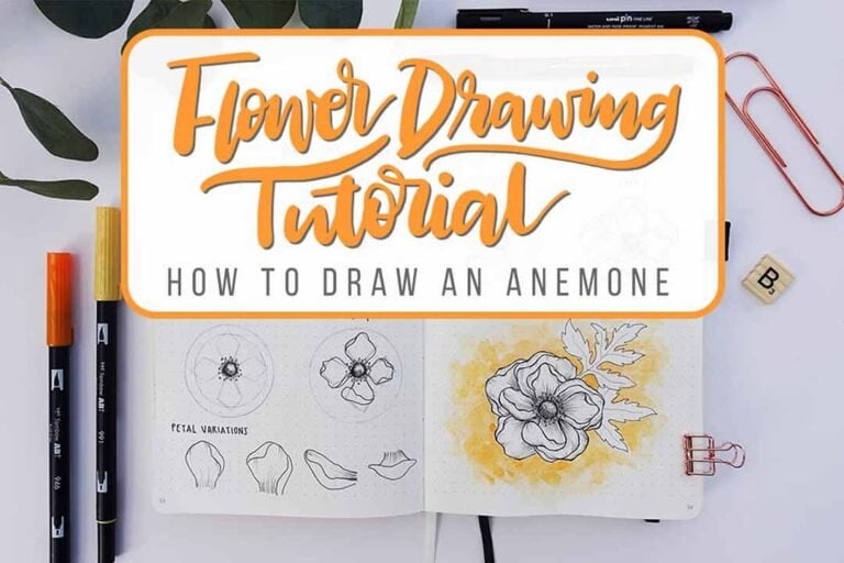 Flower Drawing Tutorial How to Draw an Anemone Flower