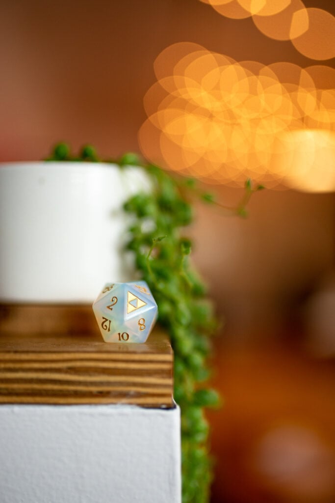 D20 die on shelf next to string of pearls plant.