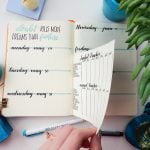 bullet journal spreads